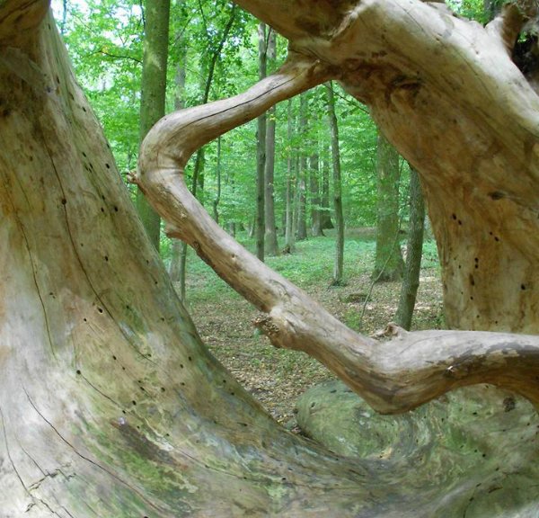 Countess Lucie Stastkova