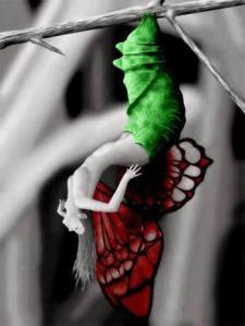 Image is courtesy of Lucie Stastkova