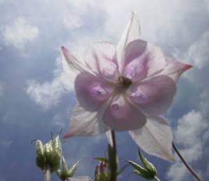 Image is courtesy of Lucie Stastkova