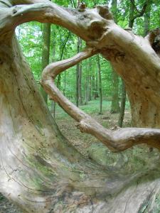 Image is courtesy of Lucie Stastkova