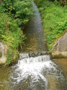 LUCIE - Creek Flowing by Lucie Stastkova