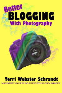 Better Blogging with Photography by Terri Webster Schrandt