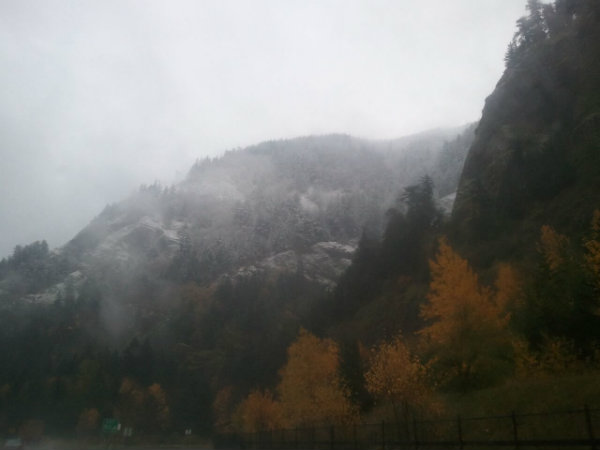 Terri Webster Schrandt