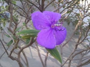 Photo by Terri Webster Schrandt