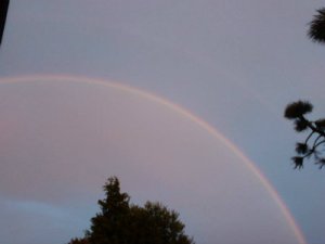 Photo by Lucie Stastkova