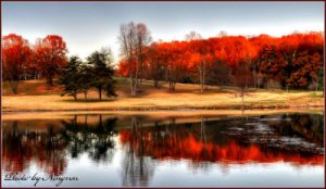 Photography by Ningren