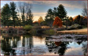 Photography by Ningren